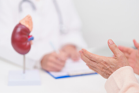 腎臓内科